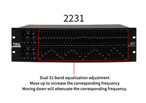 Hiệu suất sân khấu DJ hệ thống âm thanh DJ thiết bị 2231 Dual Channel 31 band equalizer đồ họa âm thanh karaoke Equalizer - Product Image 2