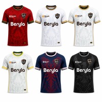 Uniforme de Fútbol Personalizado, Diseño de Águila, Marca Deportiva, Etiqueta Privada, Sublimación, Secado Rápido, Transpirable, 100% Poliéster, Unisex, Venta al Por Mayor