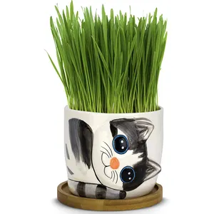 Painted Cat White Ceramic Pet Grass Flower Plant Pot With Bamboo Tray