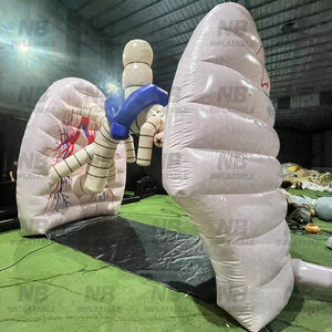 Modèle éducatif géant gonflable rose du cancer du poumon - Matériau PVC/Nylon imperméable pour événements médicaux et exposition d'organes humains - Product Image 4
