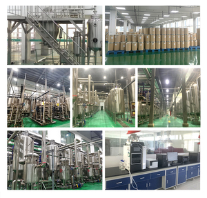 Extracto de Hierba China Auténtica: Niu Xi 10:1, Procesado con Cuidado para una Calidad Constante en su Arsenal Herbal - Product Image 6