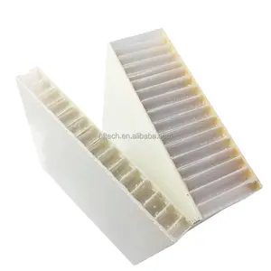 High Strength 30mm 40mm FRP Honeycomb Panel for Floor and Truck Body