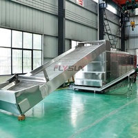 Machine industrielle automatique de lavage et de séchage des fruits (dattes, olives, prunes, pruneaux) en acier inoxydable et titane