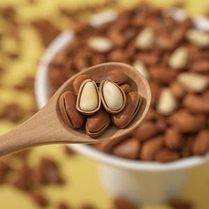 Nhà cung cấp Trung Quốc tự nhiên thông đỏ hạt trong vỏ tươi thu hoạch số lượng lớn Hạt thông Bán Buôn Đồ ăn nhẹ lành mạnh - Product Image 1