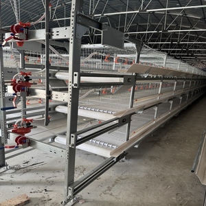 Sistema automatico 3/4/5/6 livelli a batteria gabbia galline ovaiole per strati di allevamento - Product Image 2