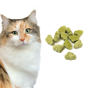 Golosinas Dentales de Hierba Gatera Liofilizada con Alto Contenido de Proteína, Venta al por Mayor de Fábrica, OEM, Golosinas Liofilizadas para Mascotas, para Gatos y Perros - Product Image 1