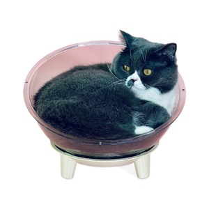 Lit pour chat en forme de capsule spatiale à angle réglable, adapté à toutes les saisons et à l'été, lit pour chat semi-fermé en acrylique intégré. - Product Image 4