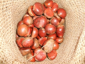 <span class=keywords><strong>Prix</strong></span> de gros de haute qualité bonne qualité <span class=keywords><strong>châtaigne</strong></span> chinoise fraîche - Product Image 6