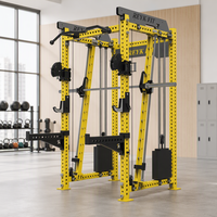 Machine Smith multifonctionnelle, rack de musculation, construction en acier inoxydable et acier au carbone, entraînement complet du corps, entraînement de force à domicile, REYK 75 kg
