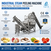 Industriële stoomschilmachine 304 roestvrij staal automatische schiller voor aardappel-, groente- en fruitverwerking