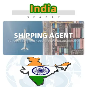 Air Cargo Freight Forwarder Door Delivery Shipping Agent China para a Índia Melhores produtos para importação da China para a Índia