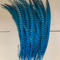 Plumes de queue de faisan Lady Amherst teintées de haute qualité, 80-90 cm, pour défilés, Halloween, accessoires pour cheveux, samba
