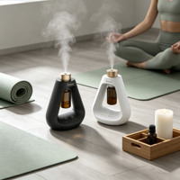 Diffuseur de parfum sans eau à deux fluides, nébuliseur d'huiles essentielles pures 10 ml avec recharge USB pour hôtel et maison