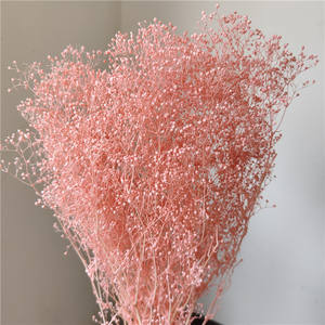 Nouvelle Mini Guirlande <span class=keywords><strong>Ciel</strong></span> Étoilé 2026, avec Poteau Dissimulé, Fleurs Blanches et Roses Fraîchement Conservées, pour Mariage, Fête des Mères, Noël - Product Image 4