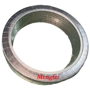 Campione gratuito guarnizione della flangia del tubo tipo di anello in metallo kit di guarnizioni isolanti per sigillatura sottomarina in grafite guarnizione a spirale