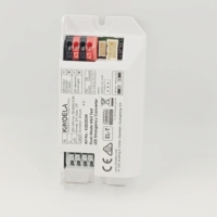 Kit de conversion d'urgence universel pour driver LED de petite taille 1W 2W 3W avec batterie LiFePO4 certifiée CB CE SAA