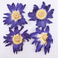 Thé aux fleurs naturelles de qualité supérieure Fleurs de lotus bleues entières séchées Nymphaea Tetragona pour le thé Vente en gros en vrac Fleurs de lotus bleues séchées