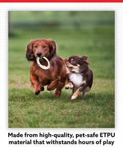 Disque volant interactif et écologique en ETPU pour l'extérieur, jouet de dressage pour chien, jouet à mâcher indestructible résistant aux morsures - Product Image 4