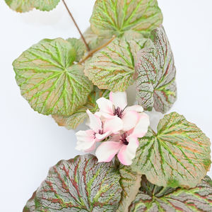 Guirlande de feuilles de palmier artificielles tropicales pour décoration de mariage, hôtel, restaurant, fond mural, verdure - Product Image 3