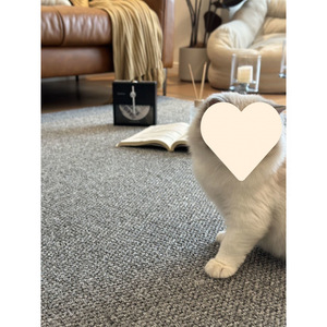 Rascador para Gatos, Alfombra de Sisal Resistente al Desgaste, Antideslizante, para Afilar las Garras, Suministros para Mascotas - Product Image 1