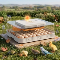 Incubateur automatique WONEGG pour poulets et cailles, 56 œufs, équipement d'élevage avec contrôle de la température et de l'humidité, économie d'énergie