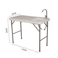 Table de nettoyage de jeu de poisson pliante en plastique durable portable en gros d'usine avec évier