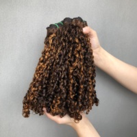 Faisceaux de Cheveux du Vietnam Double Tirés Vierge Qualité Supérieure Cuticule Alignée Bouclés Pixie Couleur Piano