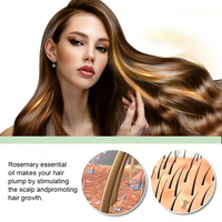 Marque privée Nouvelle huile à base de plantes pour le romarin et la menthe pour le renforcement des cheveux Usage quotidien Nourrit la croissance du cuir chevelu Huile capillaire au romarin