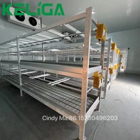 Panneaux ABS de qualité alimentaire Système hydroponique d'intérieur Table à flux et reflux Banc roulant