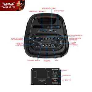 Mới tùy chỉnh kép 10 inch Bluetooth Loa DJ karaoke thiết bị âm thanh TWS bên sấm sét lớn âm thanh sáng bóng - Product Image 6