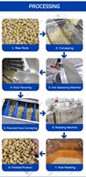 Ligne de production automatique de torréfaction et d'assaisonnement continu des cacahuètes, machine de revêtement aromatisant pour noix, machines à saveur pour snacks grillés