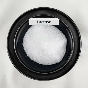 Pó de lactose cinza de alta pureza popular D-lactose monohidratada de alta qualidade