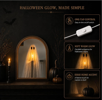 Miroir LED fantôme à cadre en bois massif, taille personnalisée, illusion d'Halloween, miroir décoratif mural éclairé