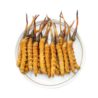 Prix de Gros Cordycépine Produits Longrich Champignon Séché en Vrac Mycélium de Cordyceps Champignon Entier Cordyceps Sinensis Militaris