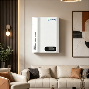 低電圧壁掛けバッテリー 48V 8000サイクル 家庭用太陽光発電向け - Product Image 1