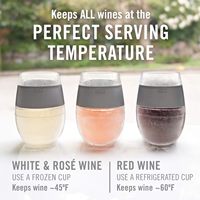 Gobelet de refroidissement gelable Tumbler avec gel de congélation