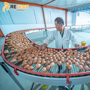 Năng lượng mặt trời Powered tự động đẻ gà mái pin lồng gia cầm trang trại thiết kế trong Ghana - Product Image 6