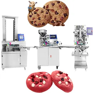 Automatic chocolate chips sprinkle cookies biscuit machine nuts granules spreading cookie encrusting machine