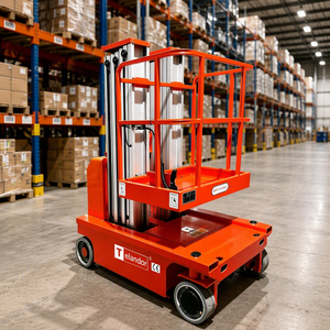 Entrega Rápida, Elevador de Doble Mástil de 7,5 m, Carga de 200 kg, Neumáticos Antimarcas de 305x100 mm, Precio Competitivo - Product Image 4