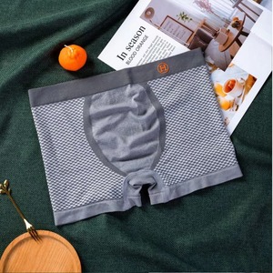 Sous-vêtements Boxers à Taille Élastique et Impression Lettres pour Garçons, Transparents, Sexy, Culottes et Slips, Vente en Gros à Faible MOQ - Product Image 3