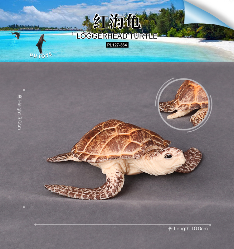 364 Tortue coccinelle