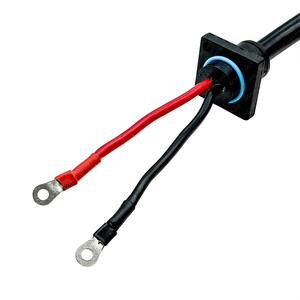 Custom 2-Core Ac Power Cord With Sr Tail Connector For Electric Golf Cart 10A <b>Pvc</b> Wire Sjtow Type C20 End - Product Image 3