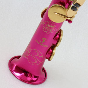 FOCUS OEM di alta qualità rosa sassofono Sopranino Bb Tone Woodwind strumento FSN-150L e Premium qualità <span class=keywords><strong>Sax</strong></span> per la pratica - Product Image 3