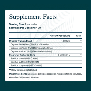 Chất lượng cao Probiotics viên nang cho phụ nữ và nam giới hỗ trợ bào tử dựa Men vi sinh sức khỏe tiêu hóa Probiotics chiết xuất thực vật - Product Image 3