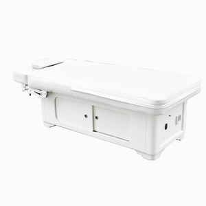 Cama de Belleza Eléctrica, Cama de Spa, Cama de Masaje, Cama de Belleza Multifuncional, Respaldo Ajustable, Cuero Sintético, Tratamiento de Alta Densidad - Product Image 6