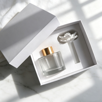 Diffuseur de parfum Finru en pierre aromatique, bouteille de 100 ml, cadeau de luxe, fleur en porcelaine faite à la main, huile essentielle, parfum d'intérieur, désodorisant