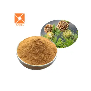 Best price golden larch bark extract/Larch Tree/Larch Extract 20:1