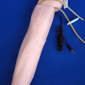 Modèle d'entraînement pour <span class=keywords><strong>la</strong></span> <span class=keywords><strong>mesure</strong></span> de <span class=keywords><strong>la</strong></span> <span class=keywords><strong>pression</strong></span> artérielle, vente chaude - Product Image 3