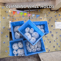 Prises murales d'escalade intérieures en résine colorée avec vis pour enfants, capacité maximale 100-500 kg, pour centre d'entraînement Lovekids