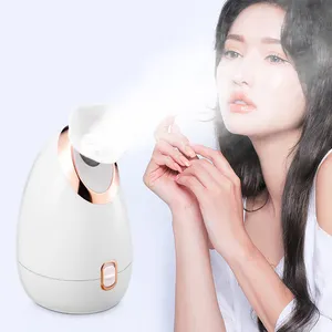 Factory Price Streamer Portable Mini Beauty Nano Ionic Vaporizer Spa Device Set Custom Face Steamer Facial